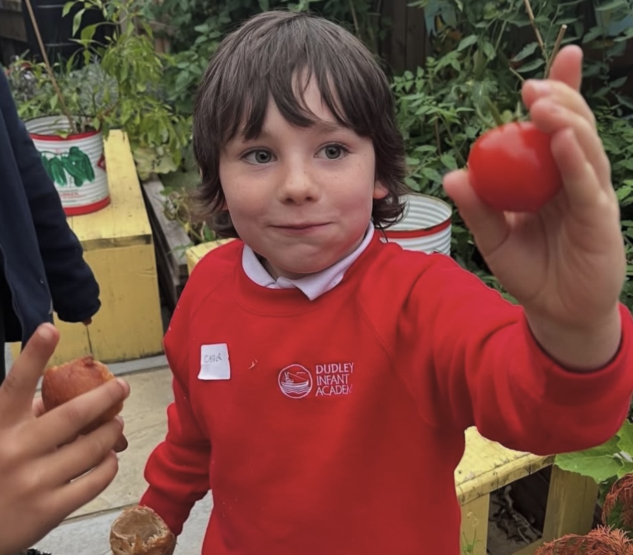 Children harvesting vegetables